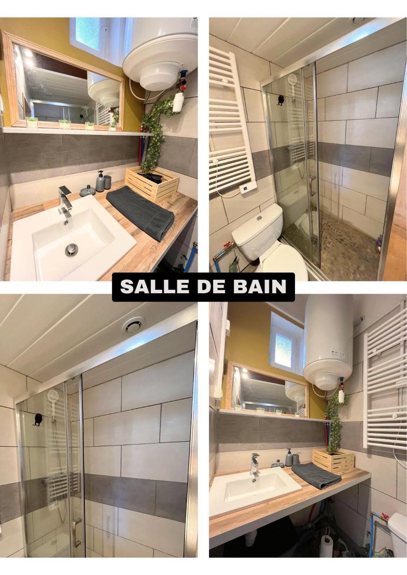 Ferienwohnung Le Petit Republicain Le Péage-de-Roussillon Exterior foto